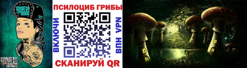 Галлюциногенные грибы мухоморы  где продают   omg tor  Берёзовка 