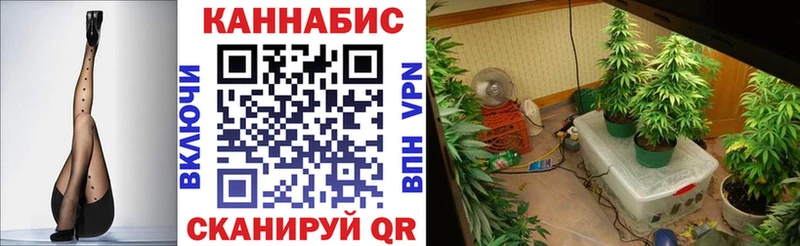 купить наркоту  Берёзовка  Бошки марихуана LSD WEED 